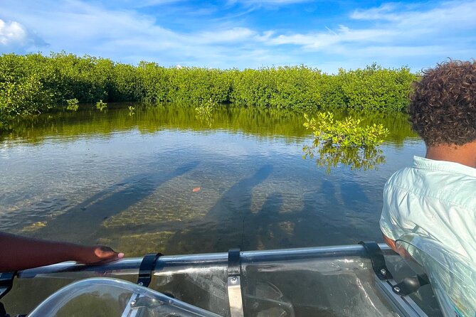 Sip & Sea Mangrove Glass Boat Tour Grand Turk Island - Meeting points, timing, and how not to lose your way