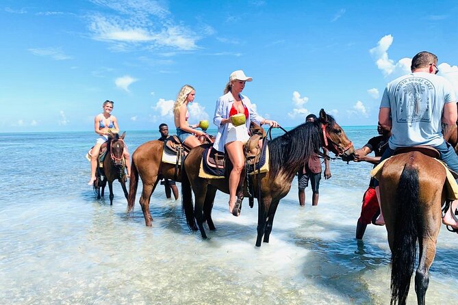 Small Group Horseback Riding Adventure in Caicos Islands - A One-Hour Beach Ride in Providenciales: What You’ll Do