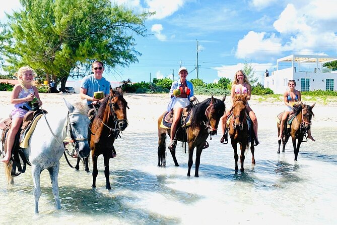 Small Group Horseback Riding Adventure in Caicos Islands - Getting There: Pickup, Meeting Point, and Timing Expectations