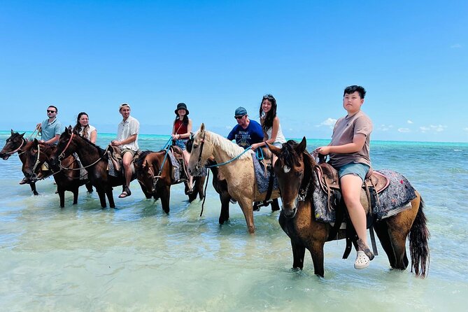 Small Group Horseback Riding Adventure in Caicos Islands - On the Horses: Safety Briefing, Basics, and Shallow-Water Trot