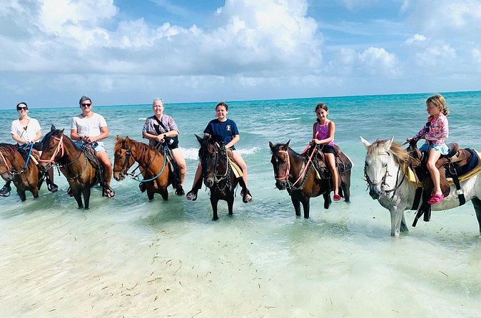 Small Group Horseback Riding Adventure in Caicos Islands - Celebrations on Horseback: Flowers, Wine, and What to Tell Them