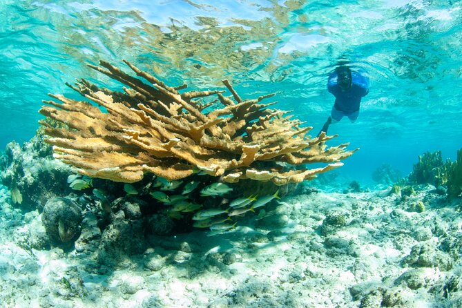 Snorkel Eco Tour - Big Blue Collective check-in: quick, organized, and ready to snorkel