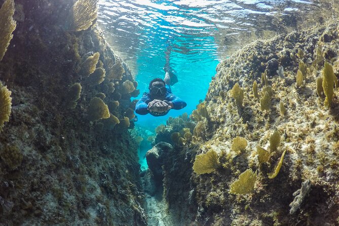 Snorkel Eco Tour - Guides make the difference: small-group attention that helps you feel safe