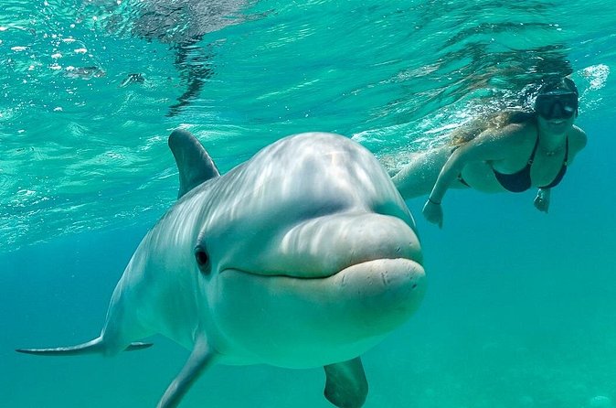 Snorkel Eco Tour - Who this tour fits best (and who might want a different style)