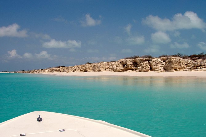 Snorkel Eco Tour - The 4-hour rhythm: three reef stops, with room for real ocean time