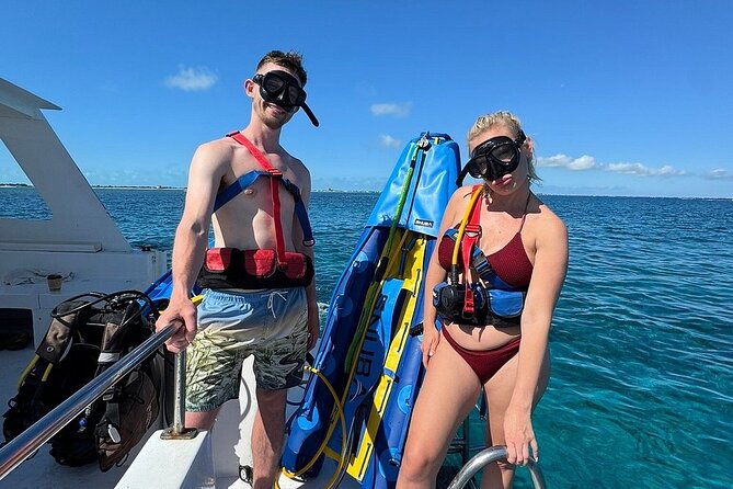 Snuba Adventure at Emerald Reef - What You’ll See Underwater at Emerald Reef