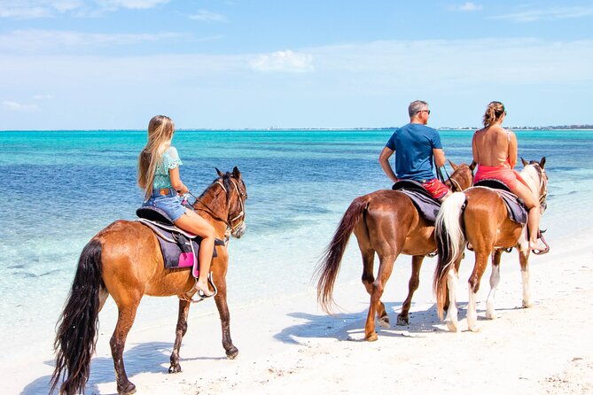 Spectacular Private Beach & Ocean Ride in Providenciales - Your One-Hour “Beaches and Ocean” Horseback Moment in Turks and Caicos