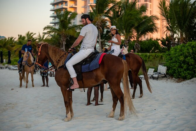 Spectacular Private Beach & Ocean Ride in Providenciales - How Safety Works When Horses Ride Nose to Tail