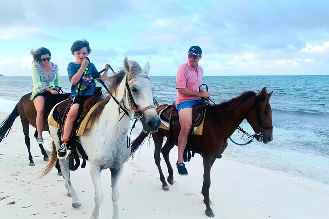 Sunset Horse Ride Experience - Horse care, beach conditions, and how to protect your peace of mind