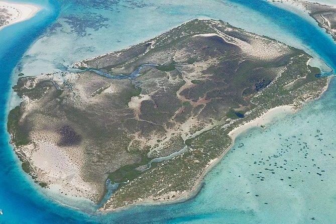 Turtle Eco Tour on Stand-Up Paddleboards or Kayaks into the National Marine Park - What happens at the start: lesson, gear, and getting comfortable
