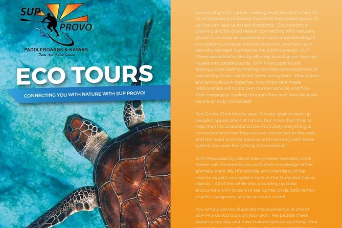 Turtle Eco Tour on Stand-Up Paddleboards or Kayaks into the National Marine Park - SUP vs kayak: which one should you pick?