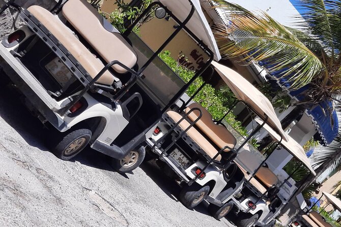 Watkins UTV American Golf Cart Rentals - Driving feel and reliability: when the cart behaves and when it doesn’t